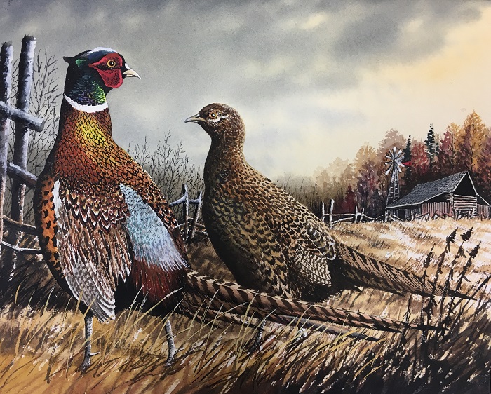 First place in the 2018 Pheasant Stamp design contest went to Robert Leum of Holmen for his depiction of a rooster and hen pheasant at an old farmstead. 