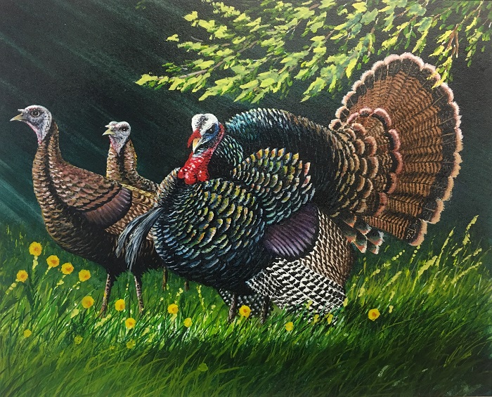 First place in the 2018 Wild Turkey Stamp design contest was awarded to Robert Leum of Holmen for his painting of a tom in full strut and two hens in a grassy field.