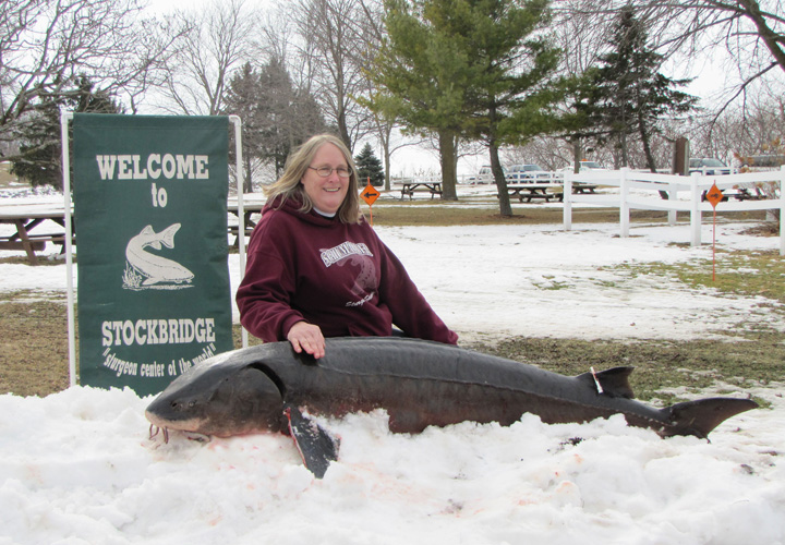 Sandra Schumacher's 78.5-inch, 154.7 pound fish.
