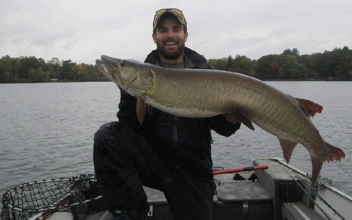 Zach Lawson caught and released this 48.5-inch musky this fall in northern Wisconsin in an area with steep slopes, hard bottom, and adjacent to very deep water.