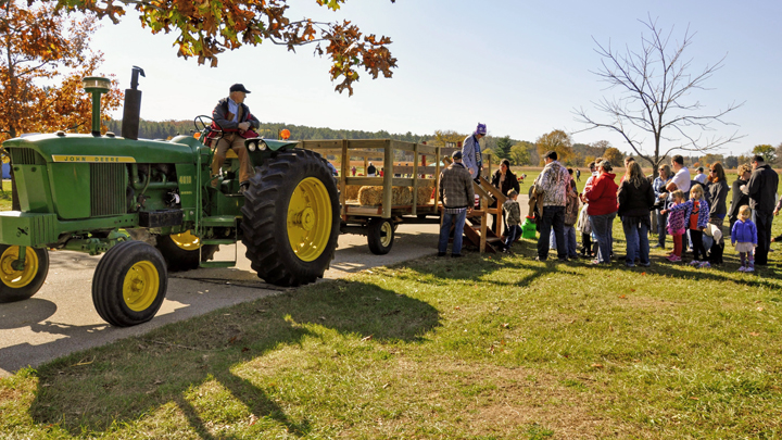 Hayrides are a popular feature at the MacKenzie Fall Festival.