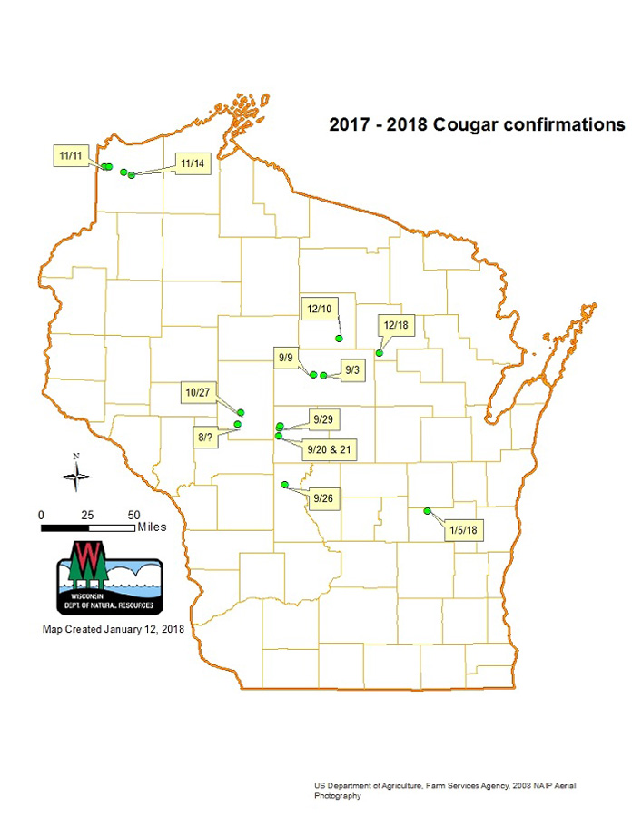 Confirmed cougar sightings August 2017-January 2018 - Photo credit: DNR